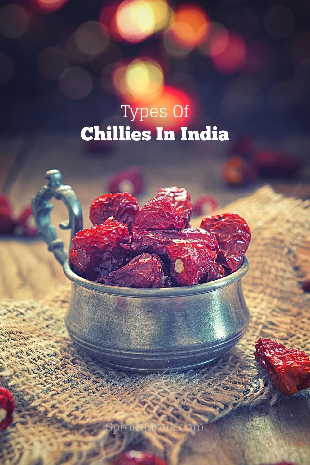 types of chillies in india cover image