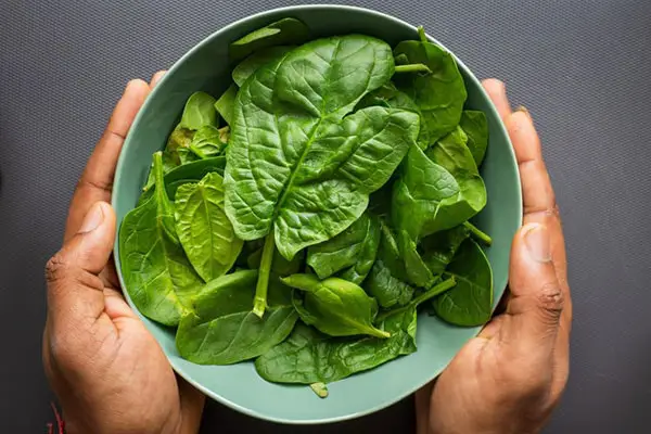 Spinach leaves in a bowl