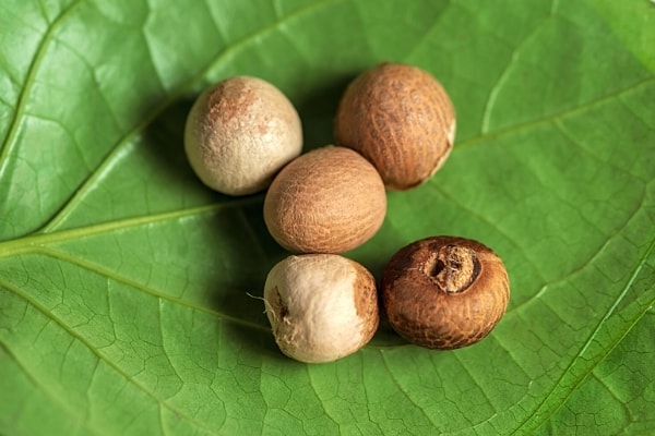 betel nut