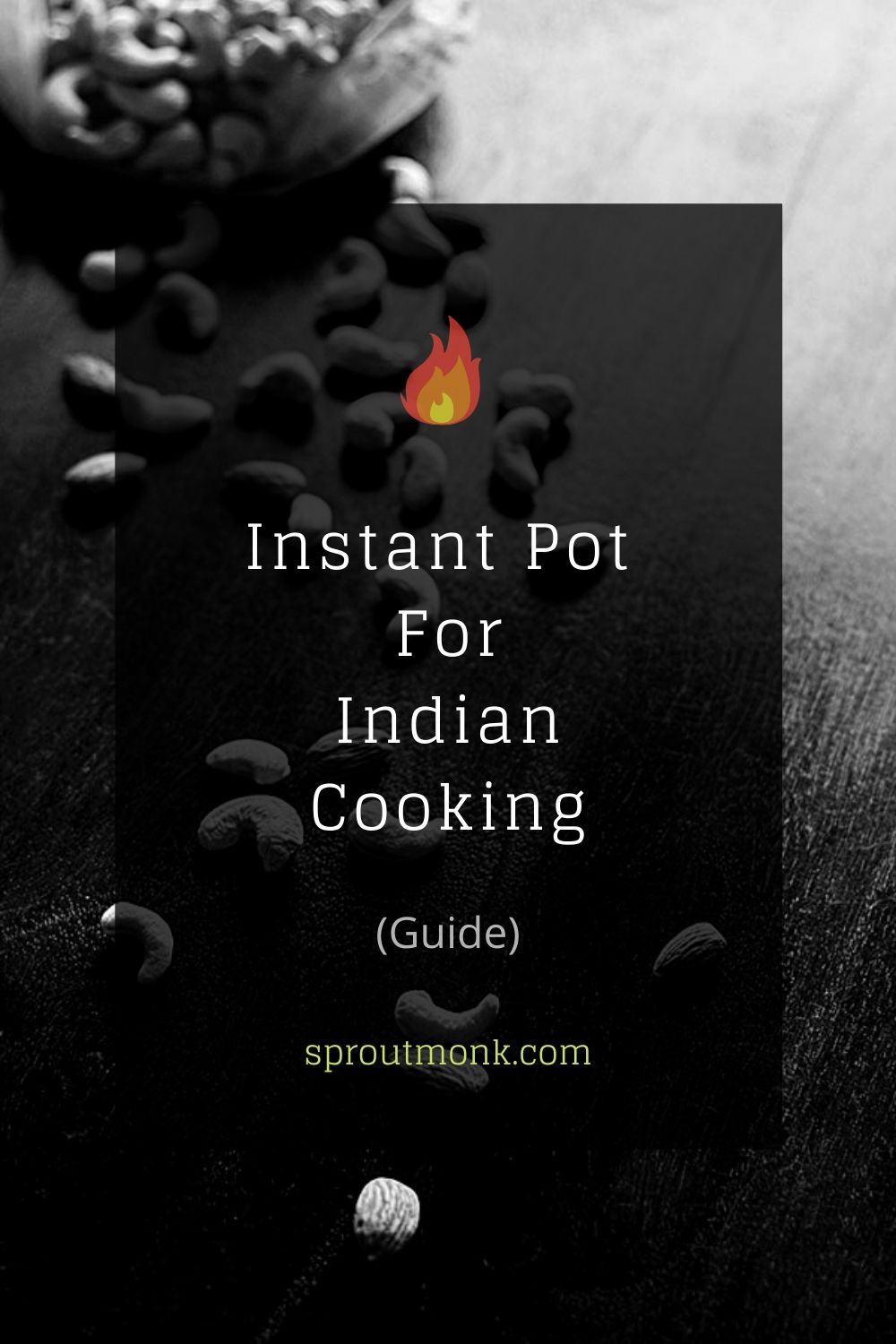 instant pot for indian cooking