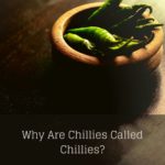 why are chillies called chillies cover image