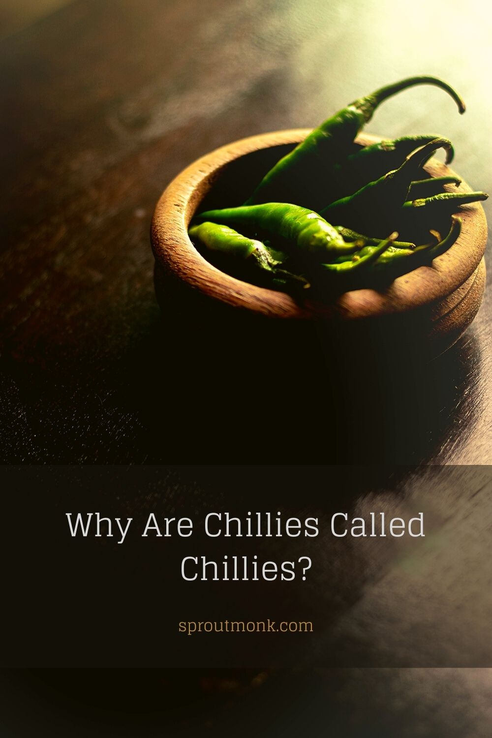 Do you want to know why chillies are called chillies? Read this insightful guide on its history and origin in Central America.