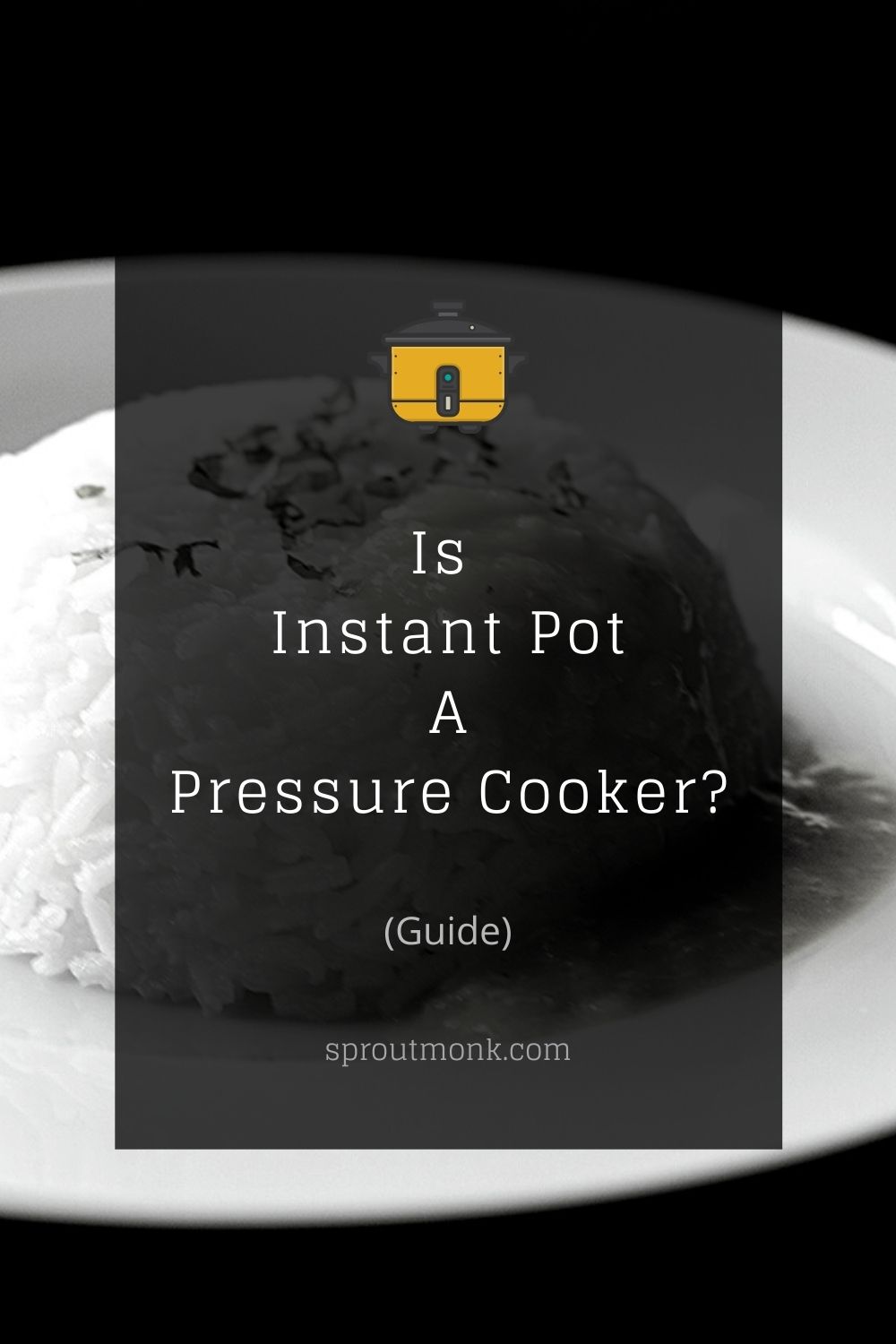 Cover image for instant pot and pressure cooker guide