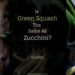 is green squash the same as zucchini guide
