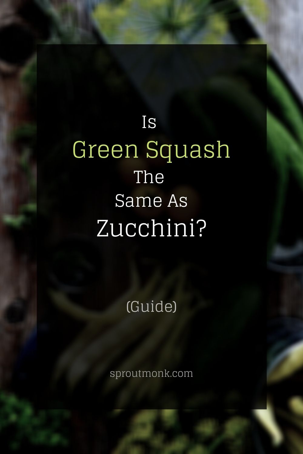 cover image for the green squash and  zucchini post