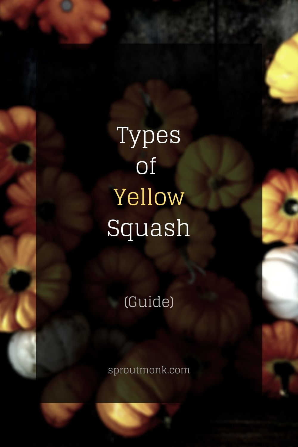 types of yellow squash cover image