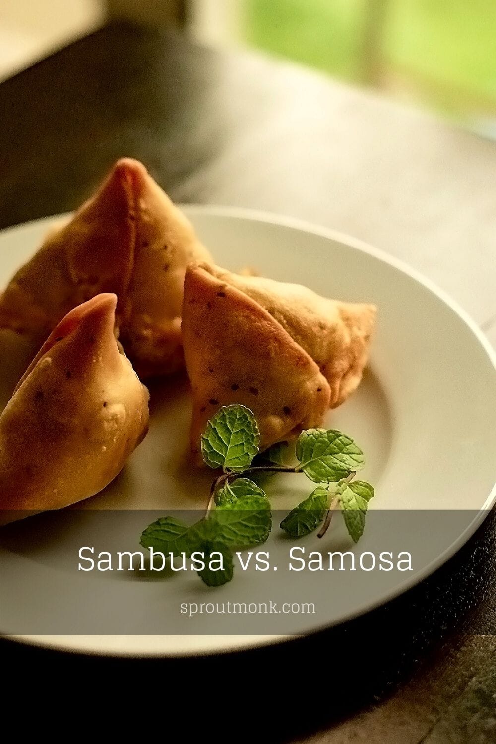 cover image for sambusa vs samosa guide