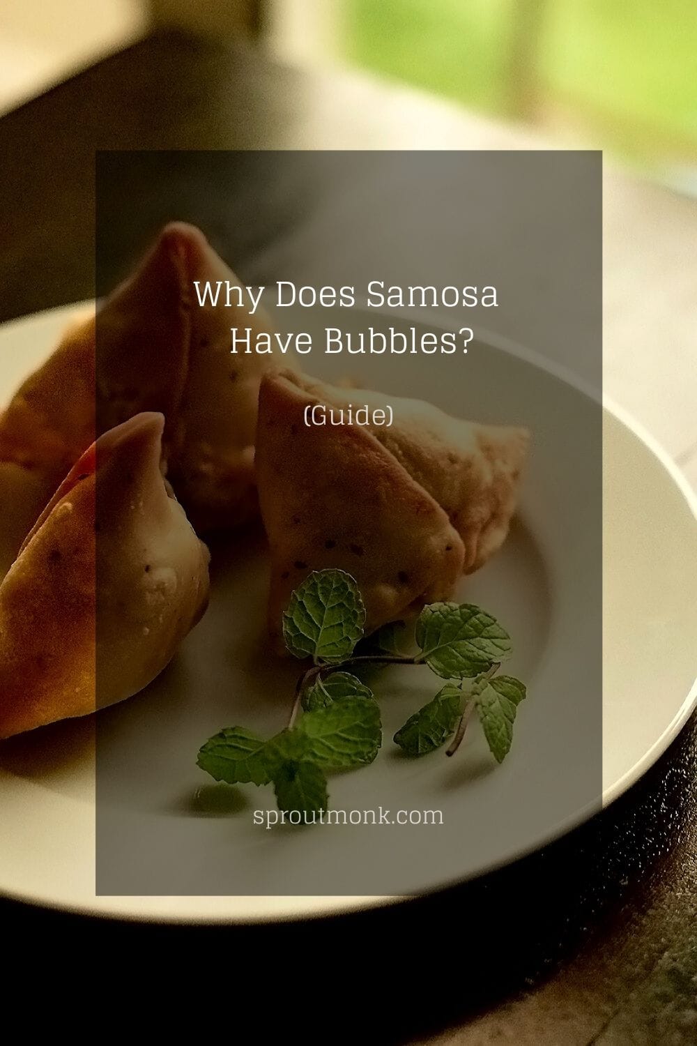 cover image for the guide on why Samosas have bubbles