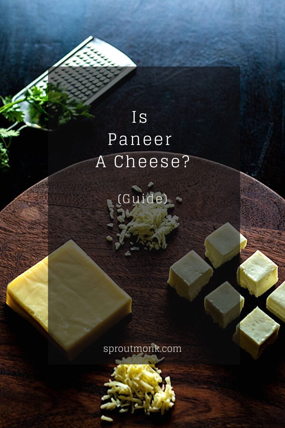 is paneer cheese cover image