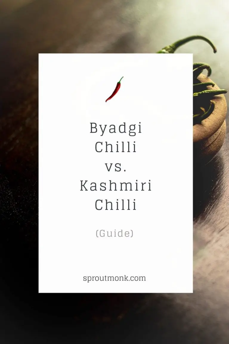 Byadgi Chilli vs. Kashmiri Chilli What's The Difference? Sprout Monk