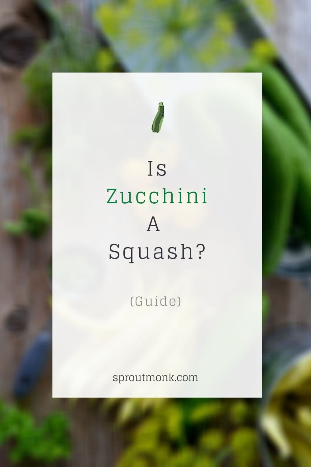 is zucchini a squash cover image