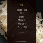 too much water in rice cover image