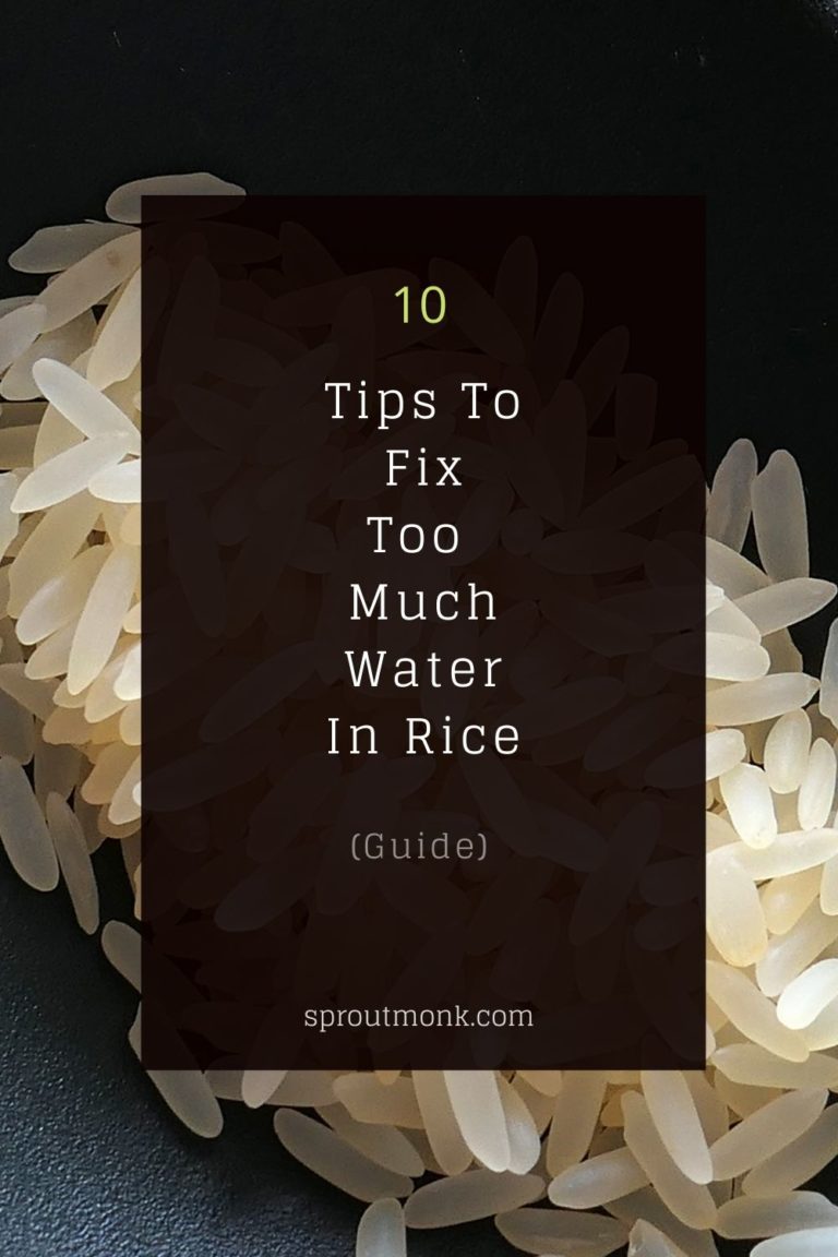 10 Useful Tips To Fix Too Much Water In Rice Sprout Monk