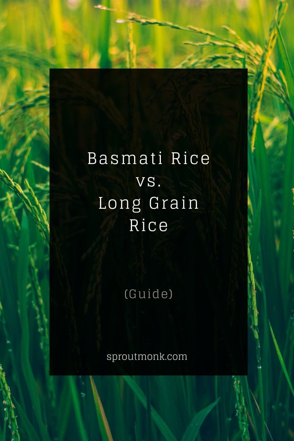 basmati rice vs long grain rice guide cover image