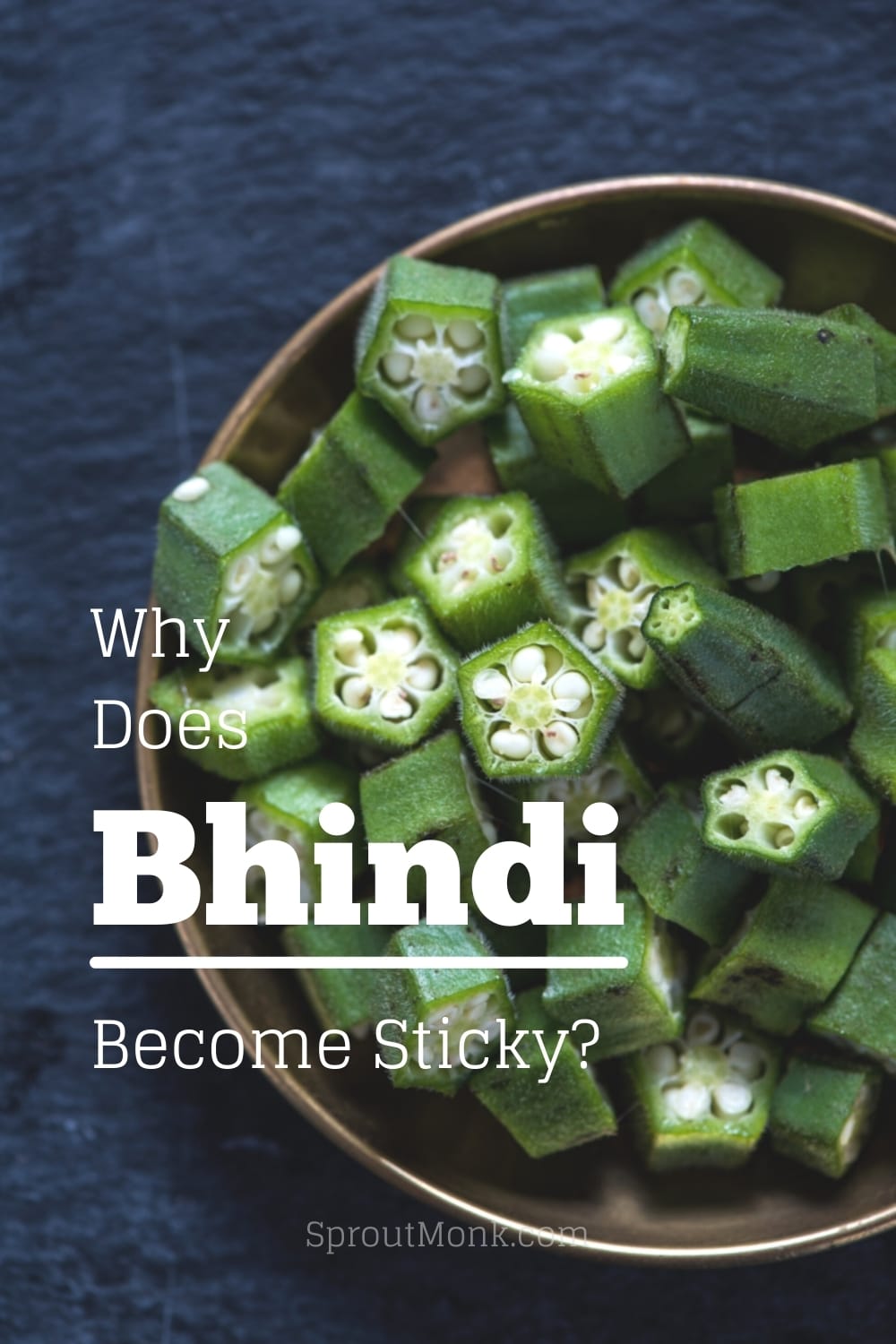 sticky bhindi guide cover image