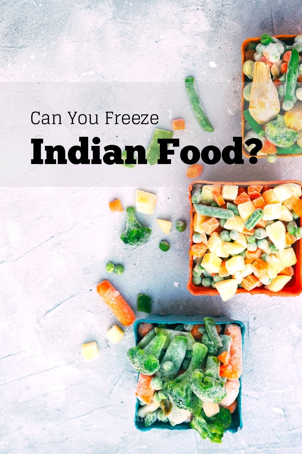can you freeze indian food