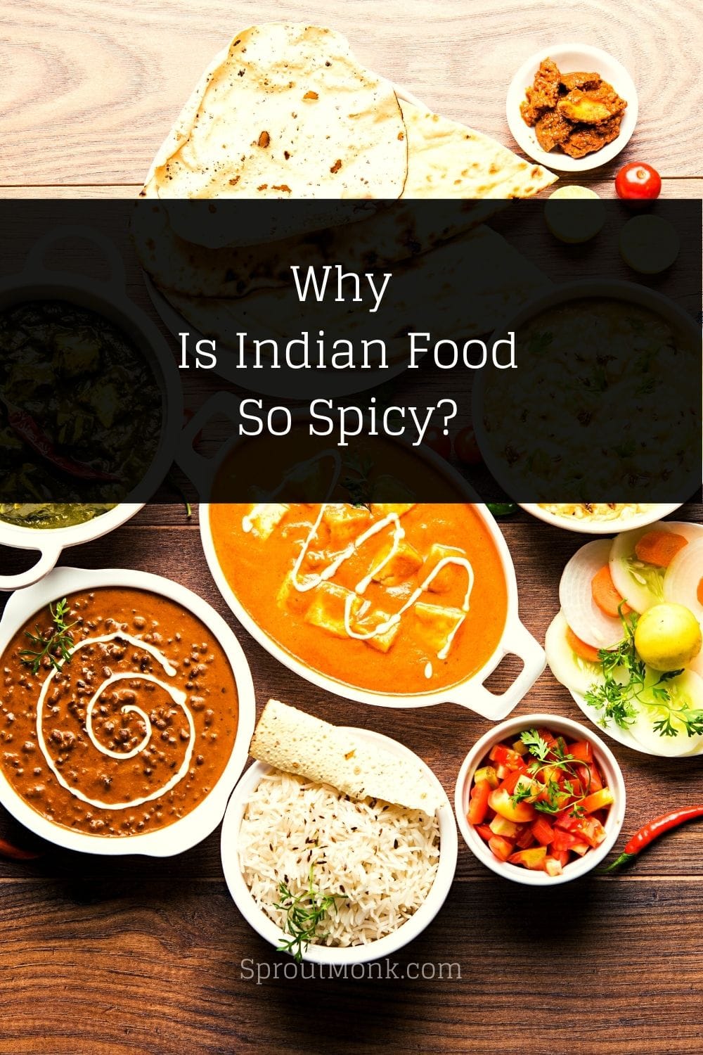 why is indian food so spicy guide cover image