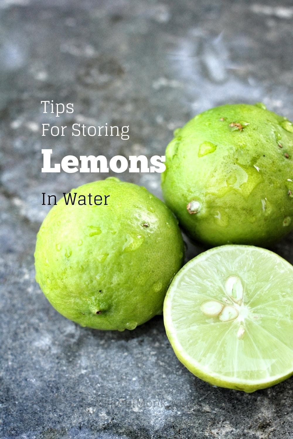 storing lemons in water guide cover image
