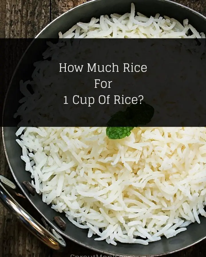 how much rice for 1 cup of rice cover image