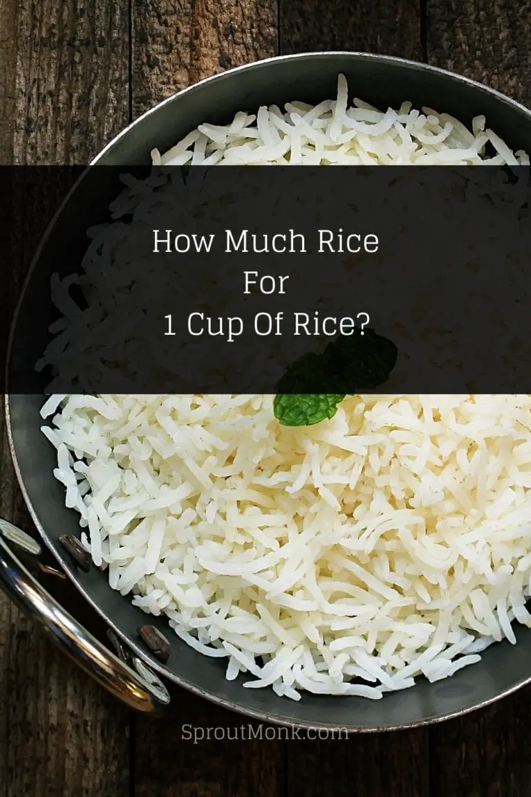 How Much Rice Does 1 2 Cup Make