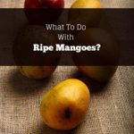 what to do with ripe mangoes cover image
