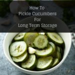 pickling cucumbers for long term storage cover image