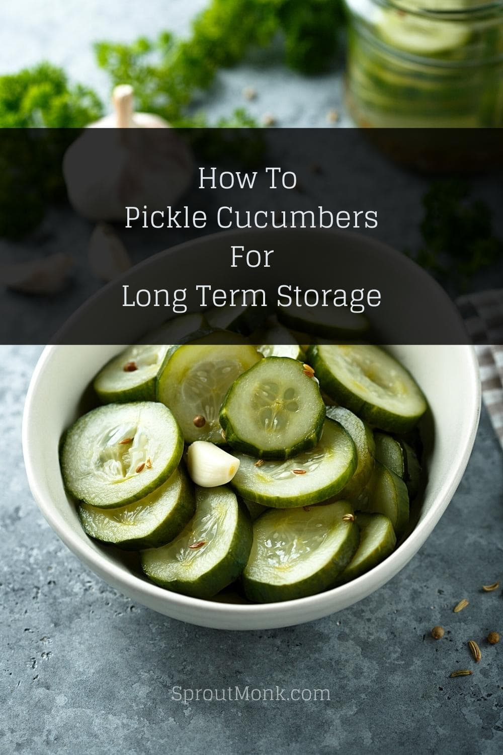 pickling cucumbers for long term storage cover image