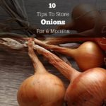 store onions for 6 months cover image