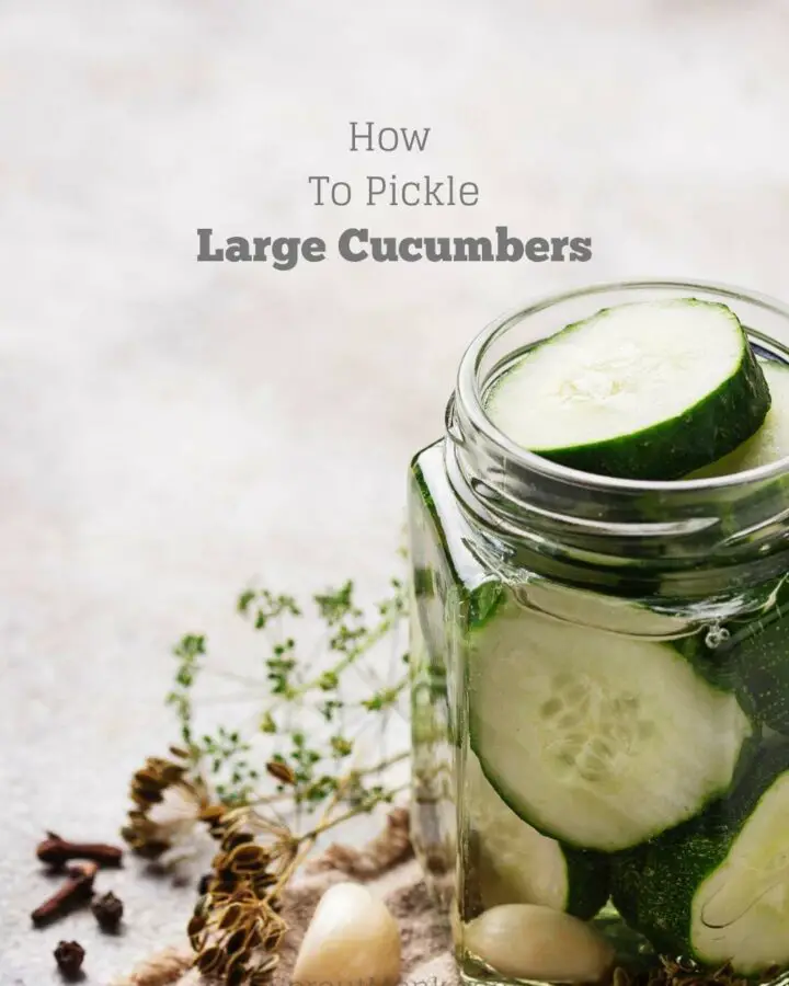 pickling large cucumbers cover image
