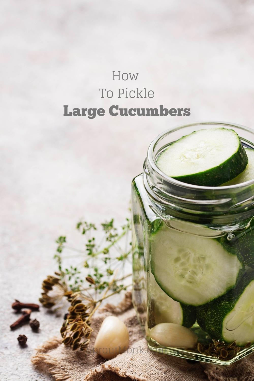 pickling large cucumbers cover image