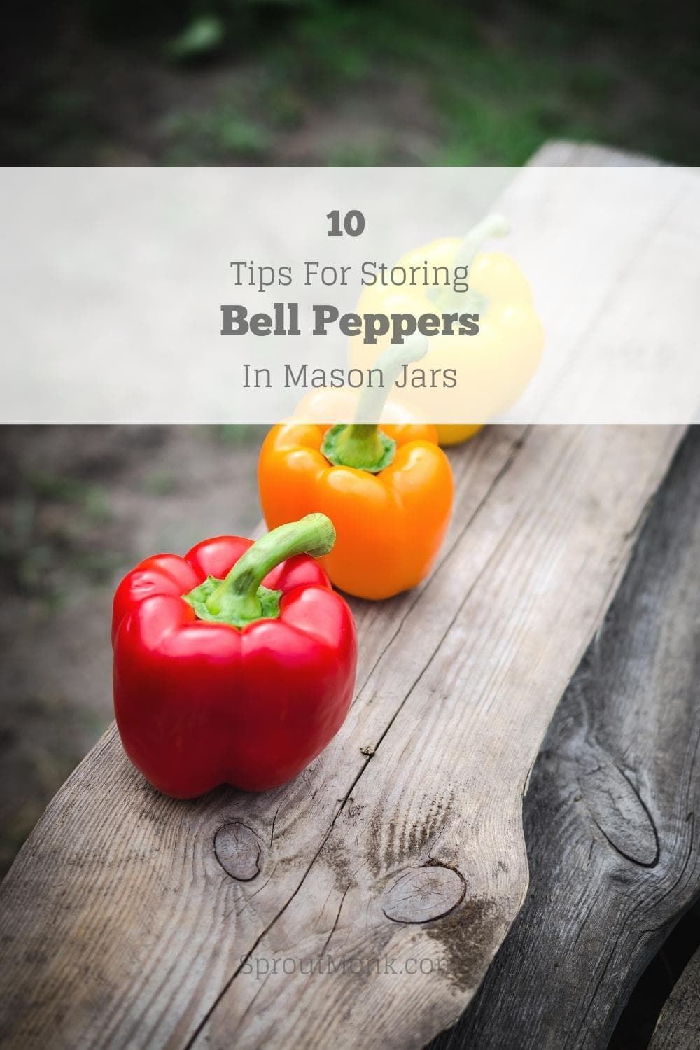 storing bell peppers in mason jars cover image