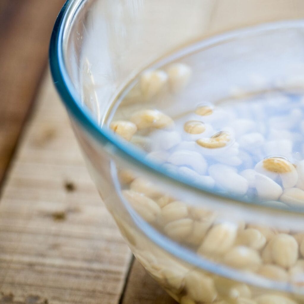 cleaning the cashew nuts